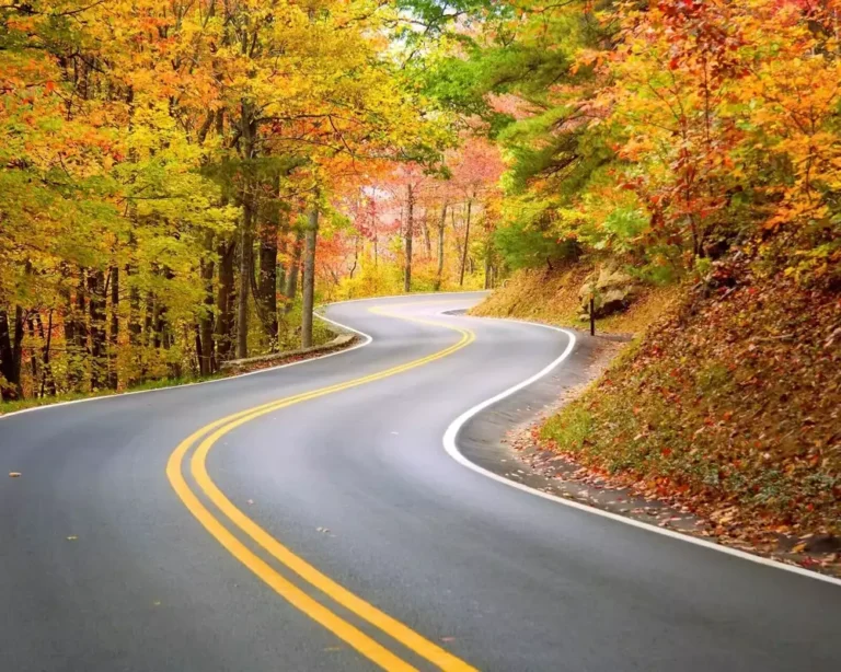 21 Very Important Road Signs And Their Meanings